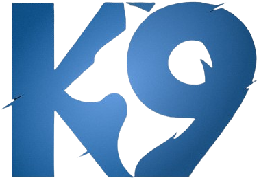 K9 Esports